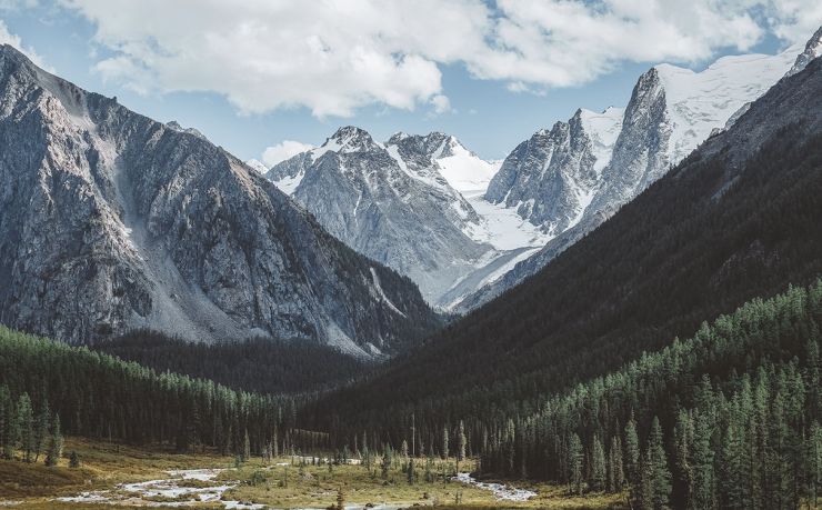 【2024突发】墨西哥移民通道凌晨开放，50个名额3小时抢空！无中介费、无加价，直抵墨西哥城